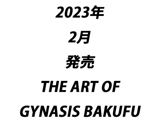 【超総集編】THE ART OF THE ART OF THE GYNASIS【究極ベスト】のサンプル画像5
