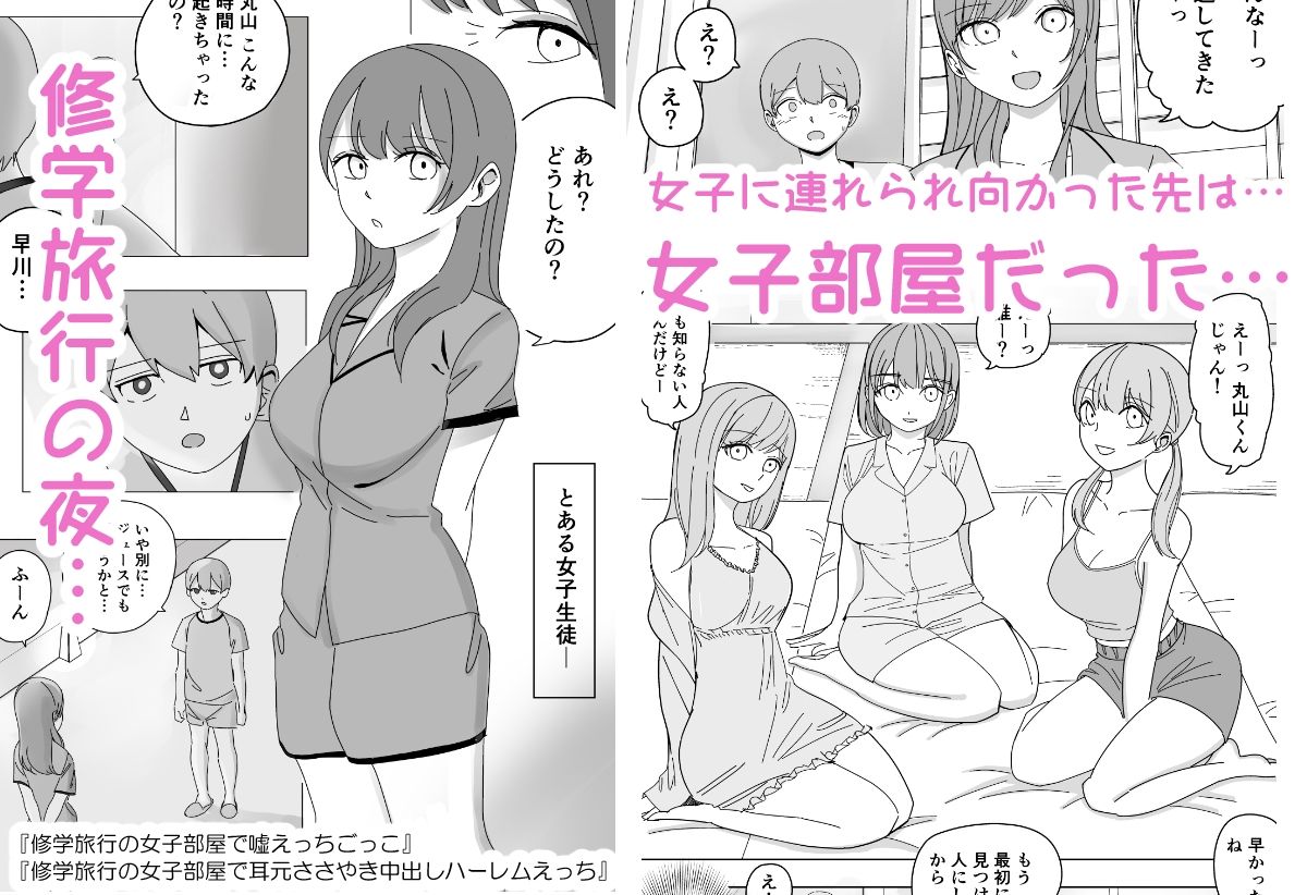 【総集編】ハーレムえっち修学旅行のサンプル画像1