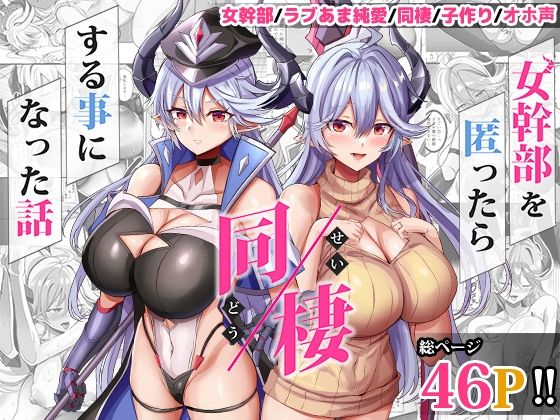 女幹部を匿ったら同棲する事になった話のパッケージ画像